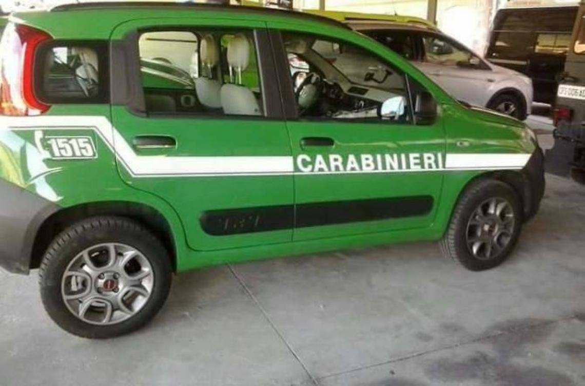 A caccia senza il porto d'armi per il fucile, denunciato dalla Forestale