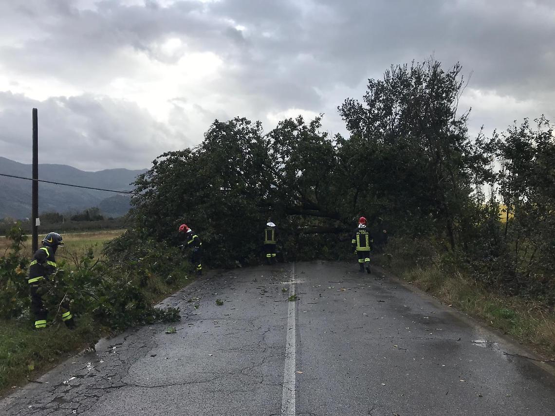 Maltempo, cade un albero a Sermoneta: chiusa via Le Pastine