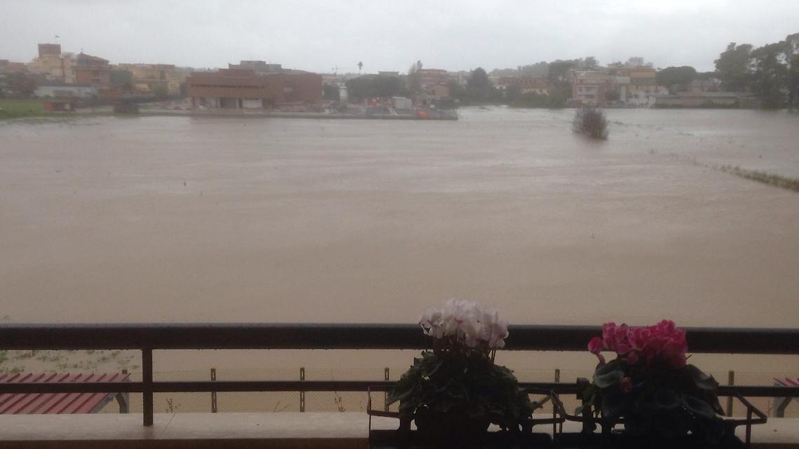 Pontinia, esonda il fiume Sisto e i pesci arrivano.... in centro