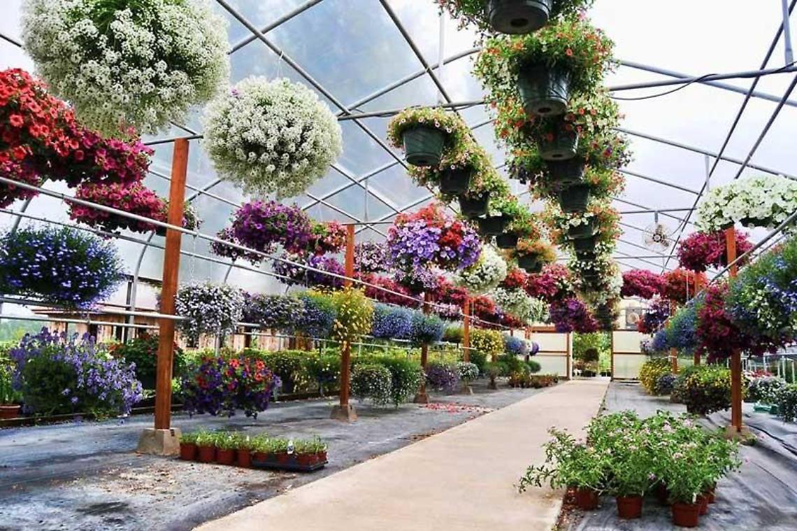 Camera di Commercio, florovivaismo: incoming con gli operatori esteri