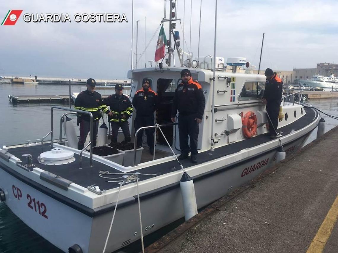 Aveva pescato abusivamente più di duemila ricci di mare: multa salata