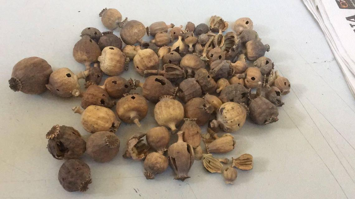 Sorpresi con il carico di oppio, arrestati dalla guardia di finanza