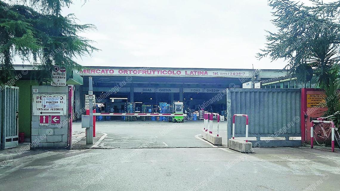 Mol e commercio, Fratelli d'Italia incalza il sindaco Coletta