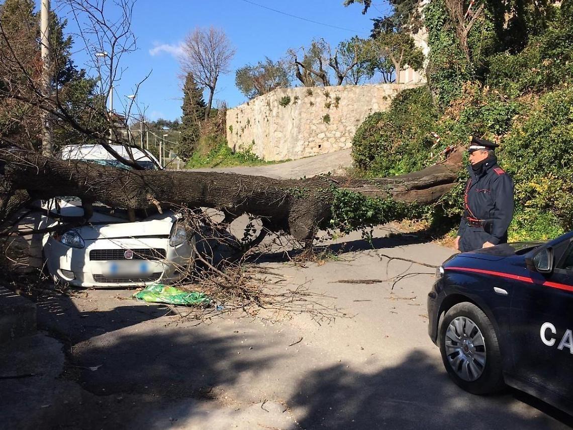Raffiche di vento, un albero cade su un'auto parcheggiata a Minturno