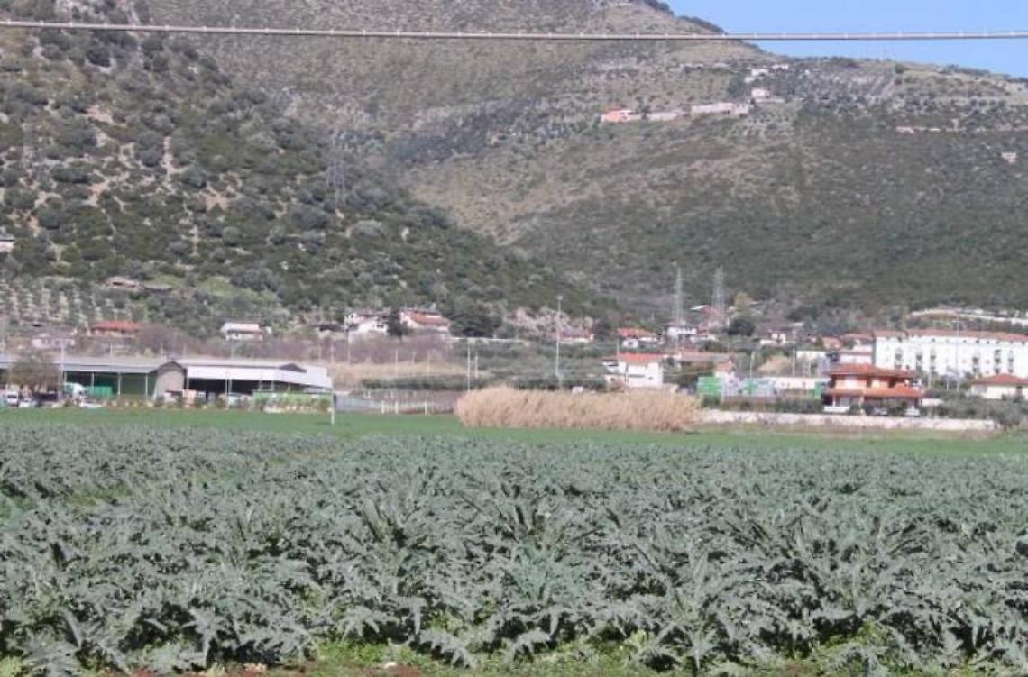 Sezze, agricoltura: politica ferma e zero iniziative per il settore