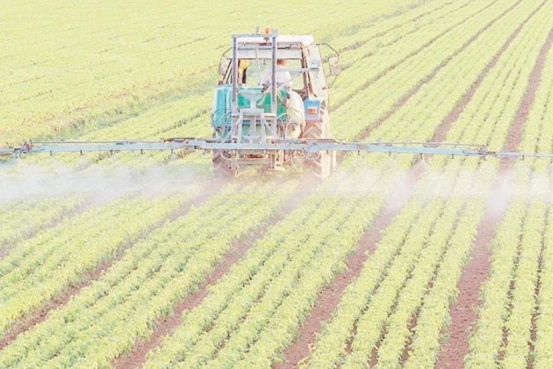 Terracina prepara un regolamento sull'uso dei pesticidi