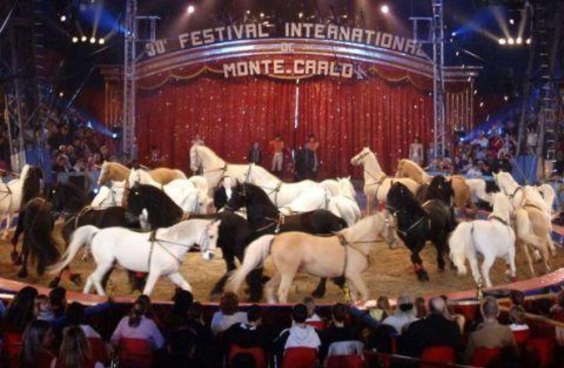 «Vietare gli animali nel circo? Si distrugge una cultura millenaria»