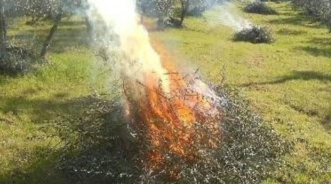 Brucia alcune sterpaglie ma perde il controllo e d&agrave; fuoco al terreno del vicino