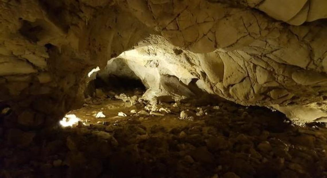 Protocollo d'intesa, arriva il Sistema Integrato di Servizi Culturali