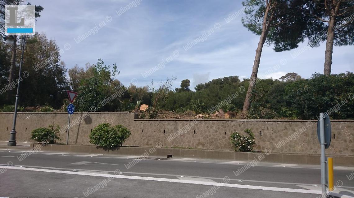 Nettuno, taglio dei pini a Villa Borghese: arriva la multa
