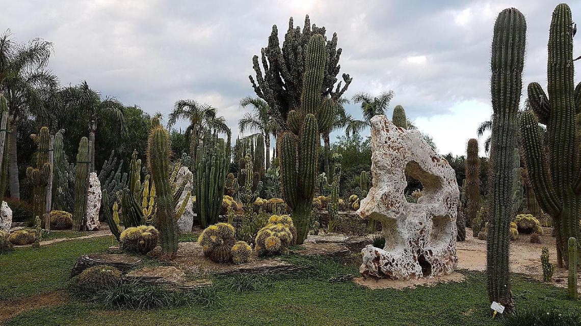 Giornate del Fai nel Lazio, ecco i luoghi visitabili in provincia