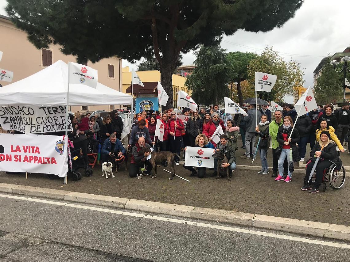 Canile comunale trasferito fuori città, da oggi i randagi a Latina