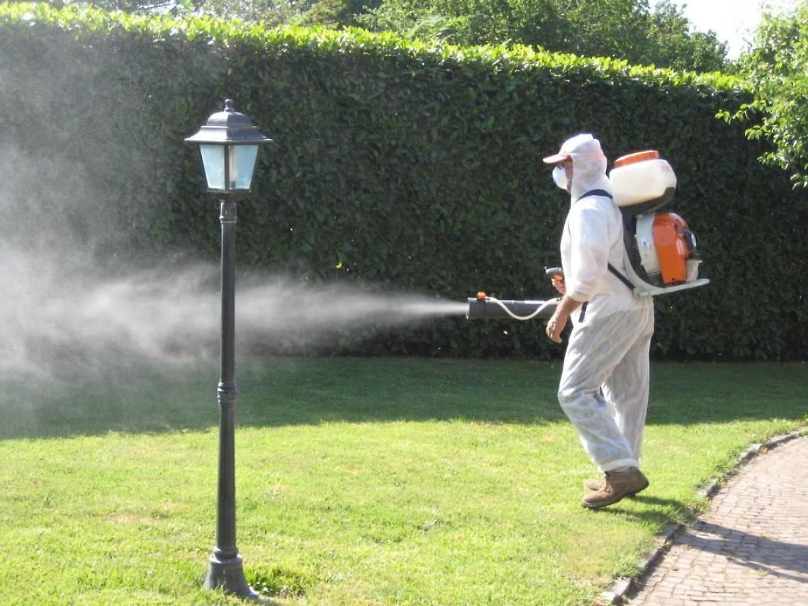 Disinfestazione a Formia, il Comune: "Usati prodotti a basso impatto ambientale"