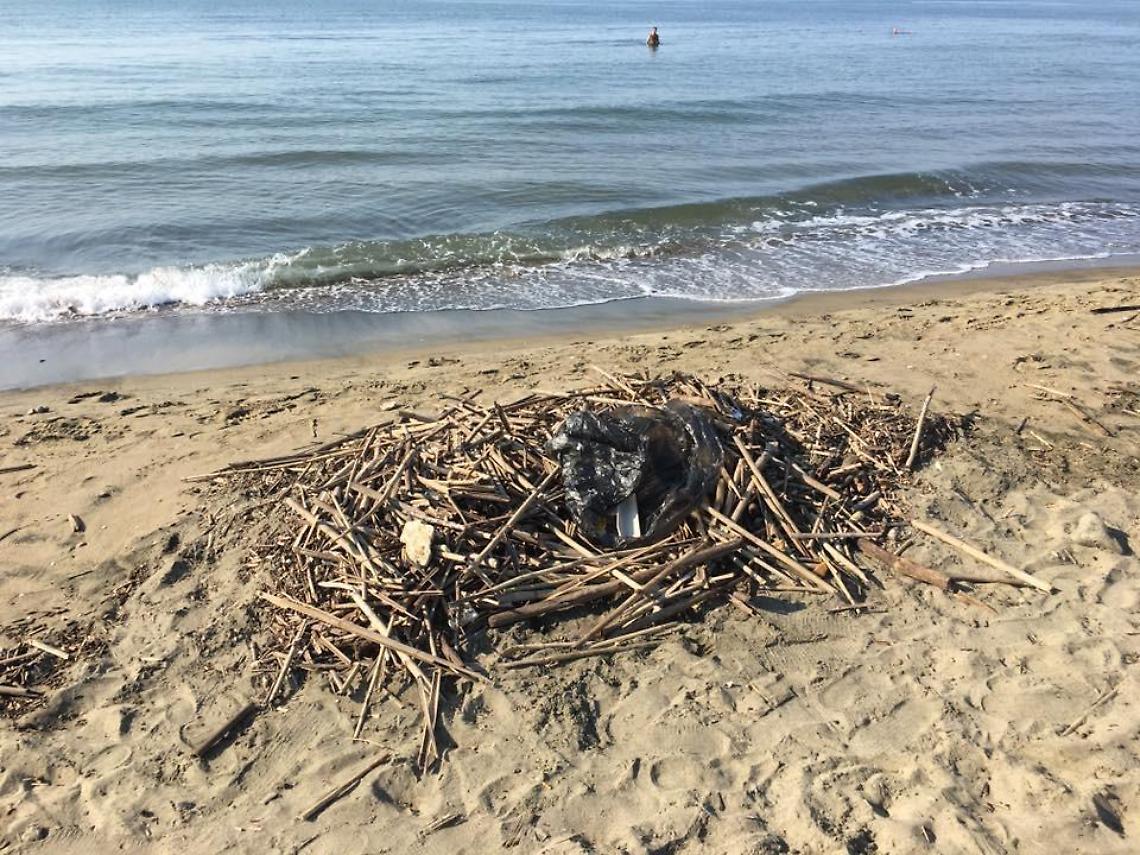 Latina, una spiaggia "plastic free": ecco l'evento