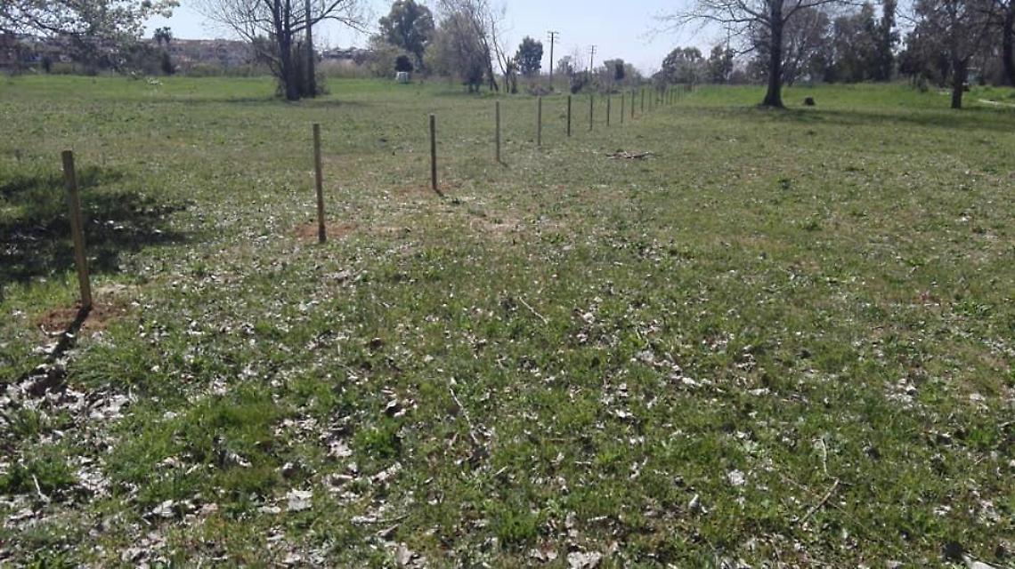 Parco e rotonda su un'area privata in Q4, contenzioso da 4 milioni per il Comune