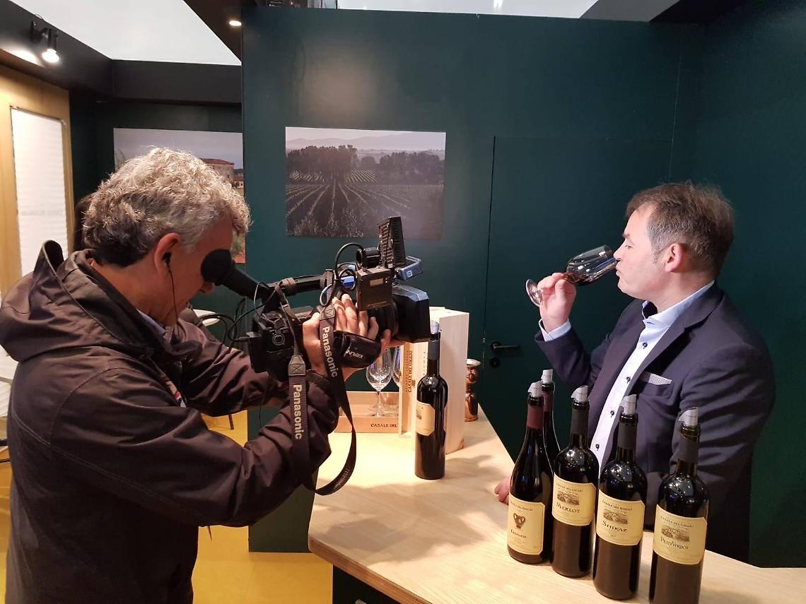 Vinitaly 2019, la provincia di Latina fa incetta di premi per i vini migliori