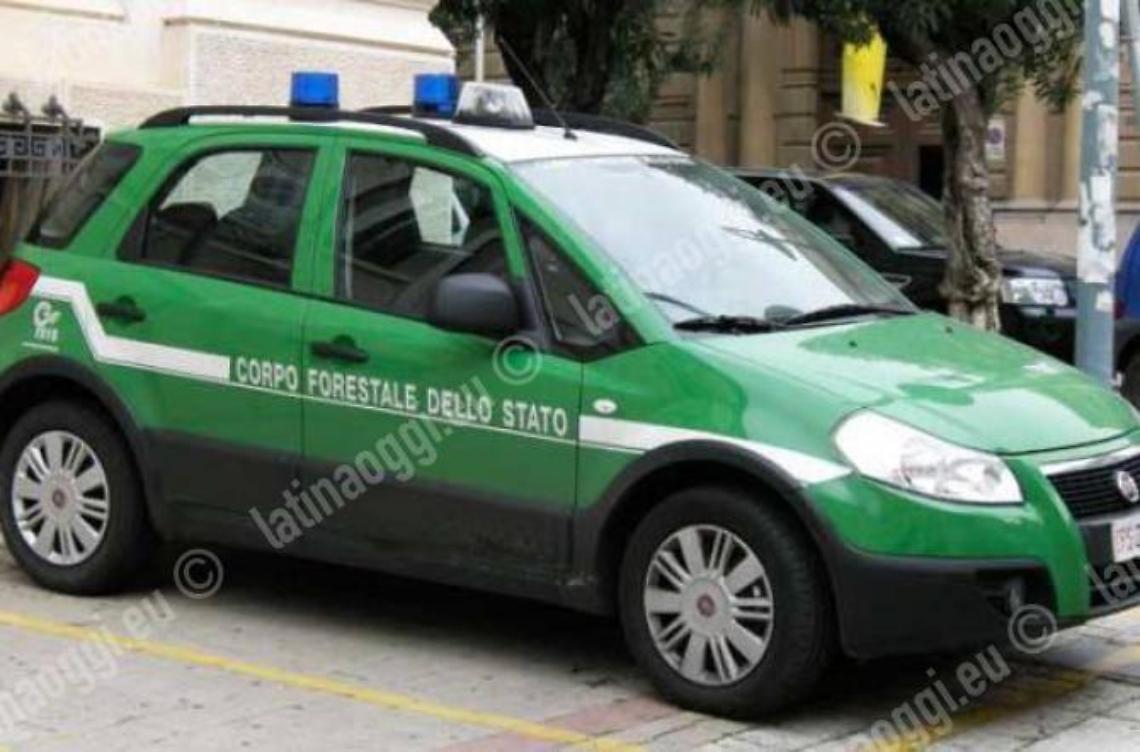 Abusivismo edilizio per un edificio commerciale, 11 denunciati dal Nipaf