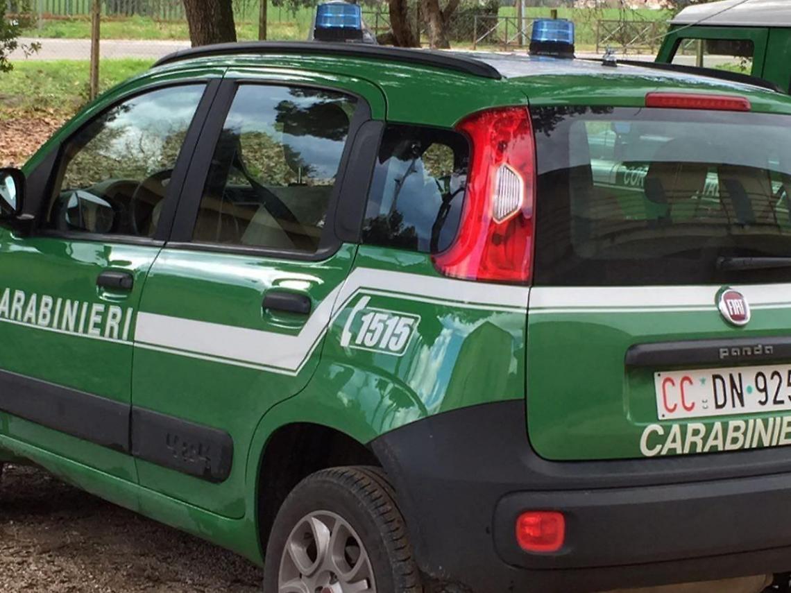 carabinieri forestali