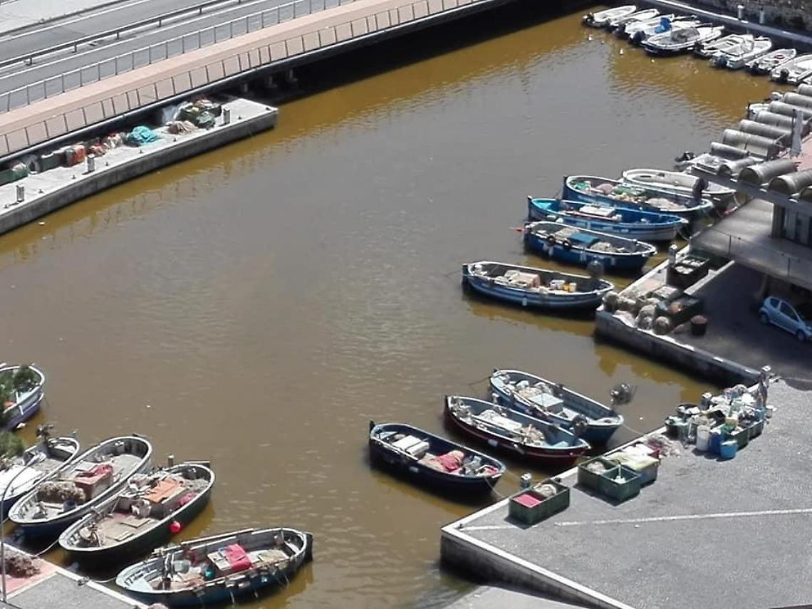 Cittadinanza onoraria al professor Gerard Lutte