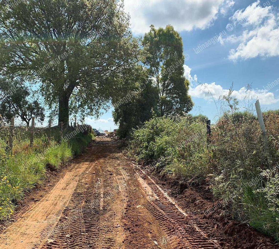 Strade periferiche, finalmente scatta un'attenta bonifica