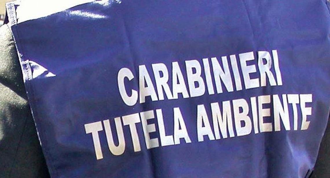 Traffico illecito di rifiuti, sequestri e perquisizioni tra Roma e Latina