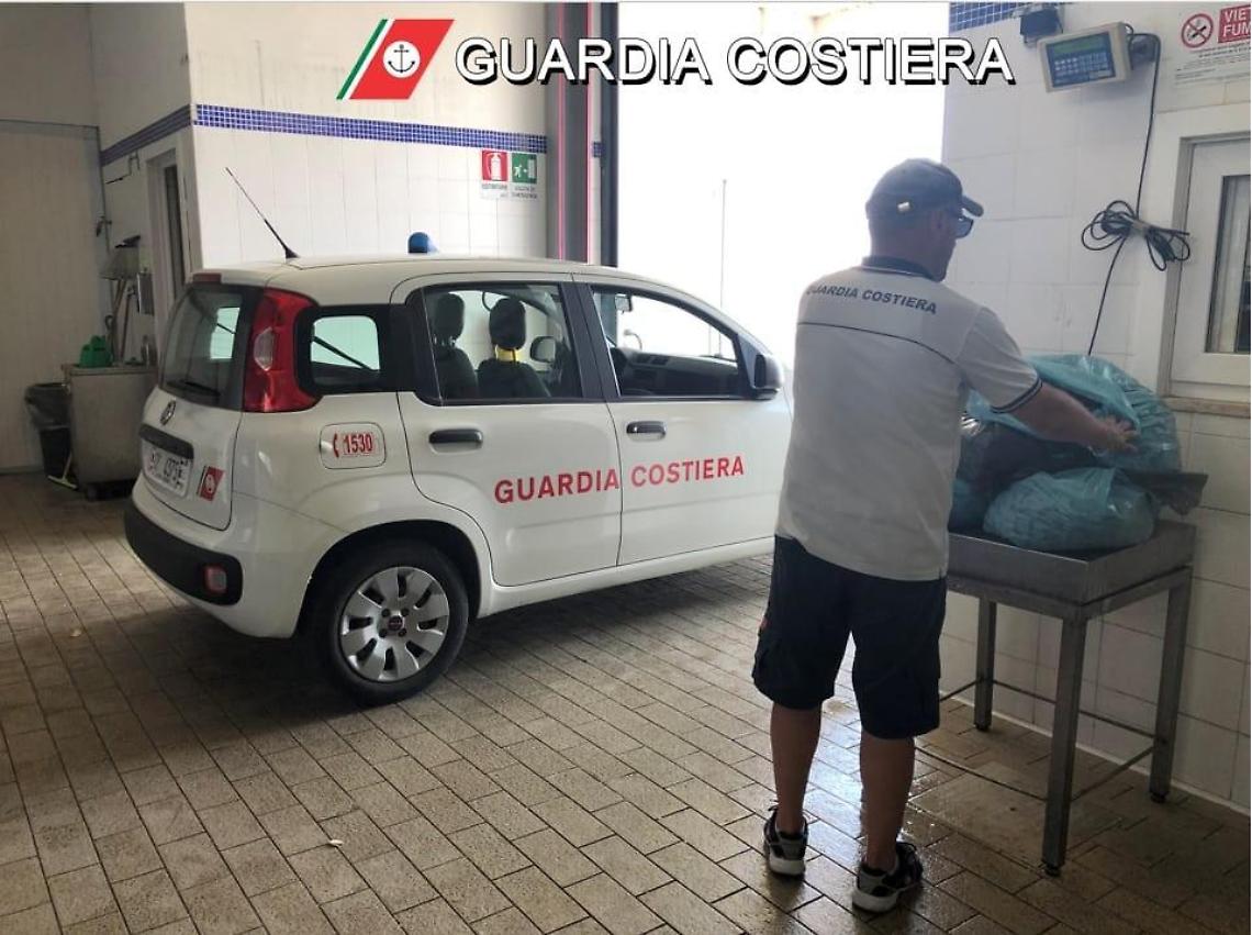 Sequestrati 70 chili di cozze raccolte dai bagnanti: l'operazione nel Golfo