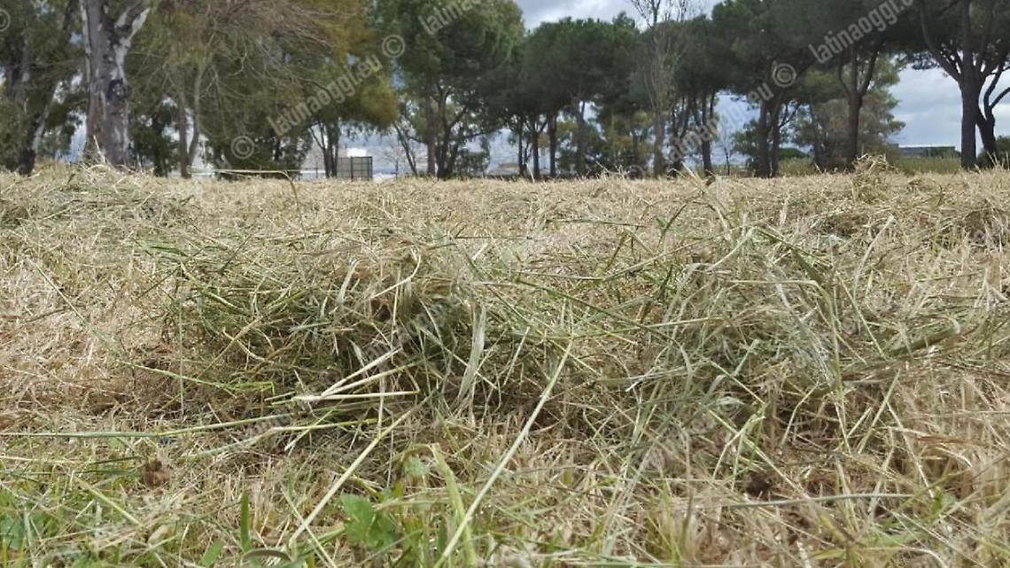 Stop al ritiro degli sfalci da giardino, il Comune attiva il servizio itinerante