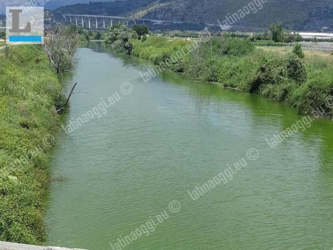 Il fiume Amaseno si colora di verde fra Sonnino e Pontinia