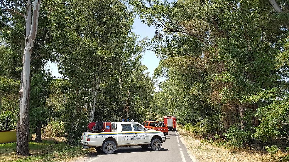 Cade un albero su via Formicosa, intervento di vigili del fuoco e Anc