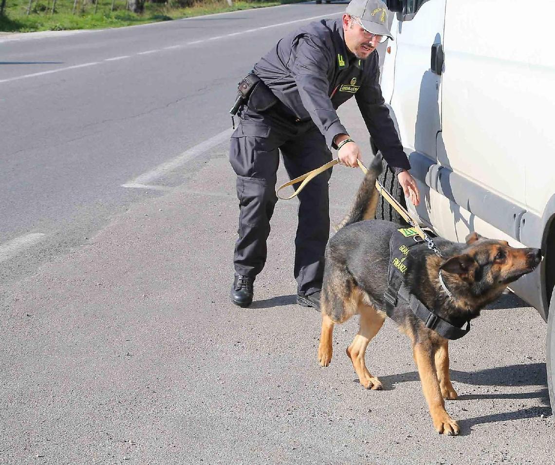 Cocaina tra i pannolini e il biberon, arrestata una coppia
