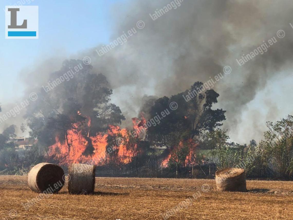 Incendi, allarme anche in viale Le Corbusier. Citt&agrave; assediata dai roghi