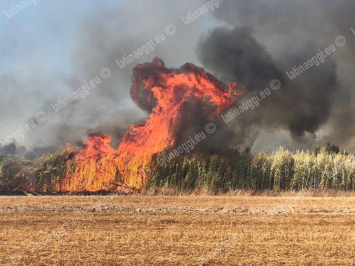 Latina, città assediata dagli incendi: si cerca un piromane