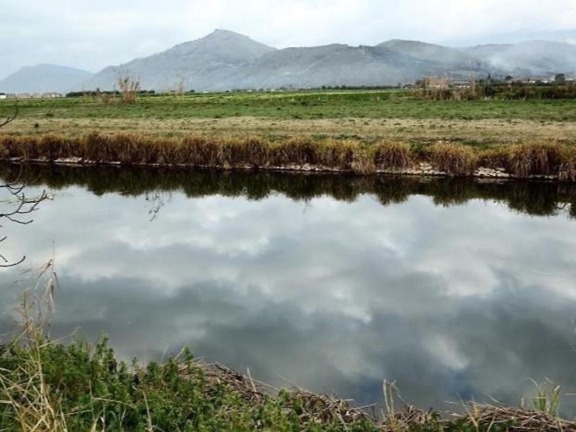 S&igrave; della giunta al contratto di Costa dell'Agro Pontino