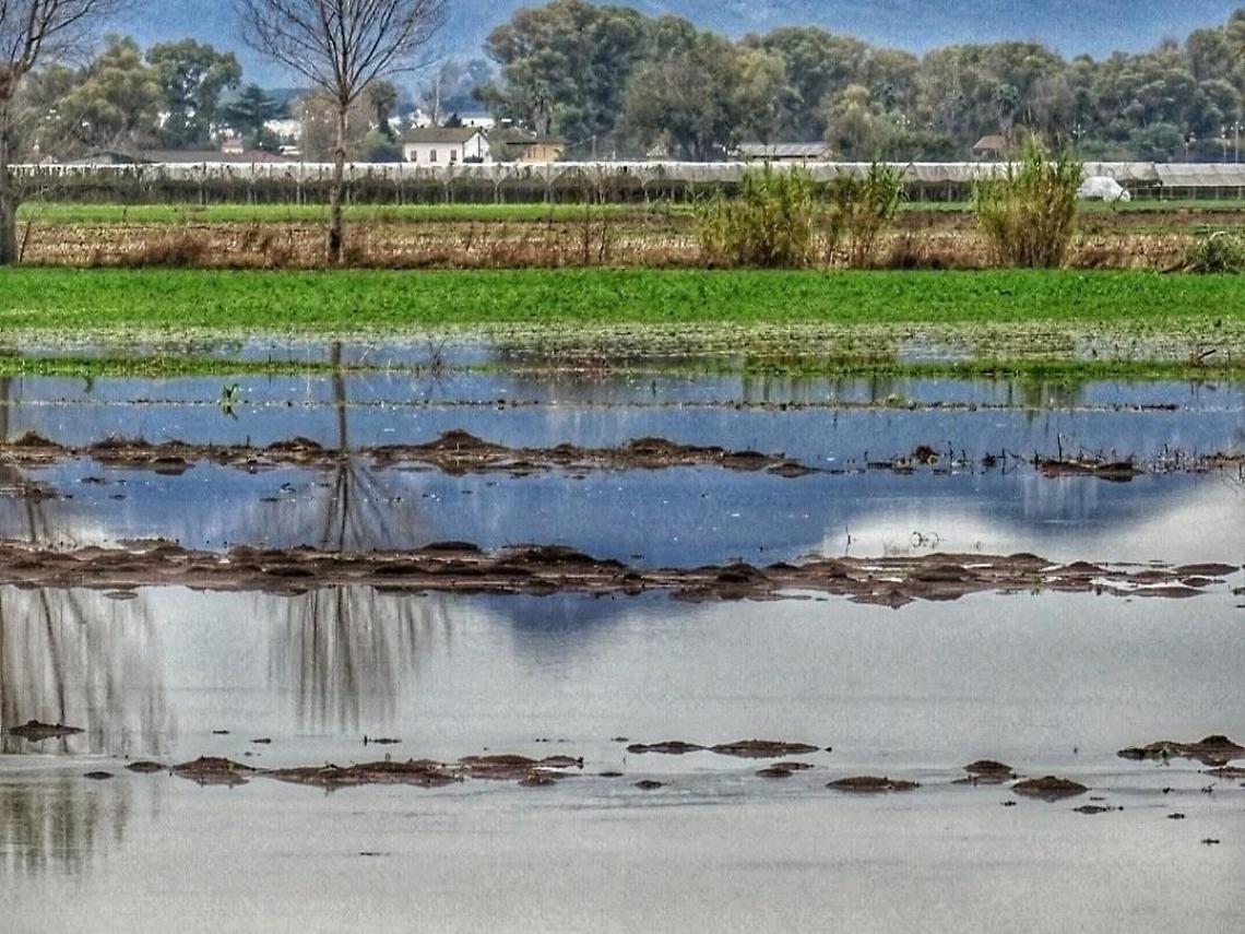 Maltempo a Pontinia, quantificati danni per oltre un milione di euro