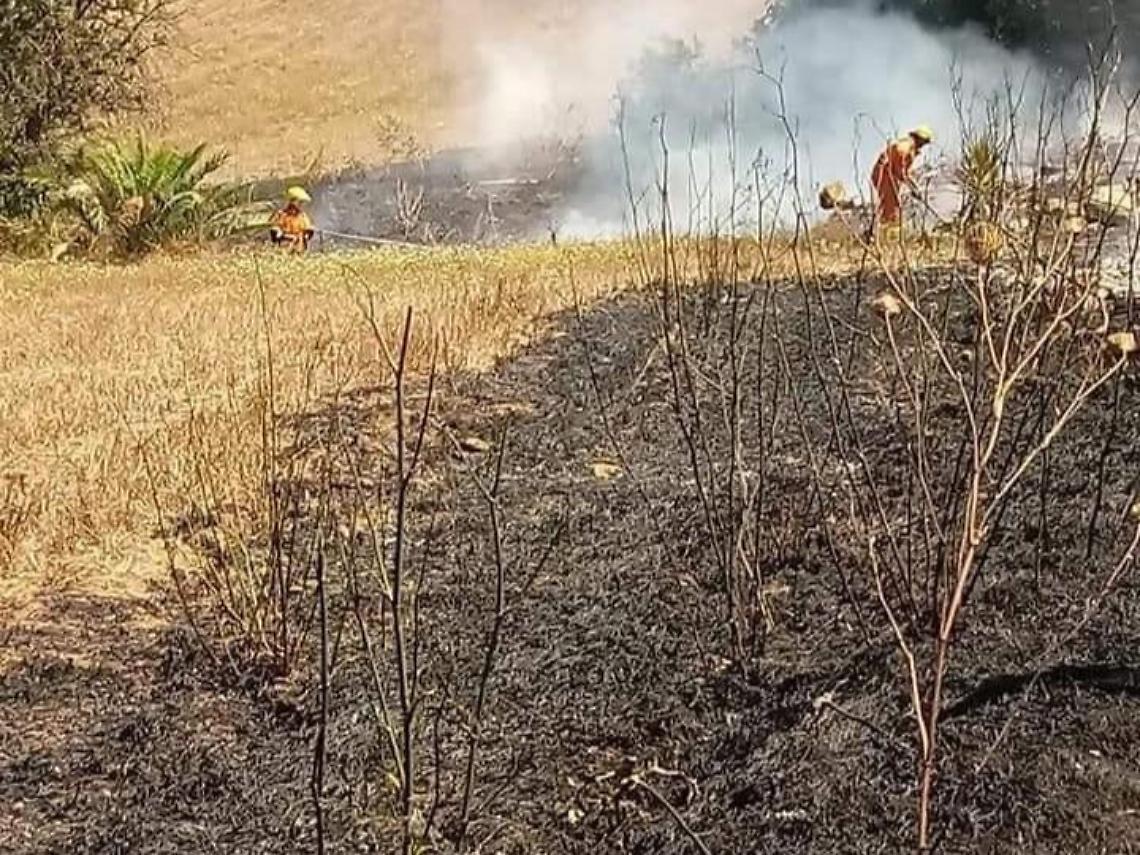 Ennesimo incendio ad Ardea, fiamme di Ferragosto a Tor San Lorenzo