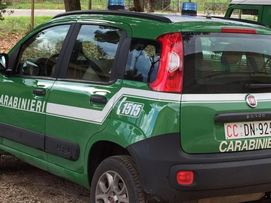 Sonnino, trovato a bruciare plastica: denunciato un uomo