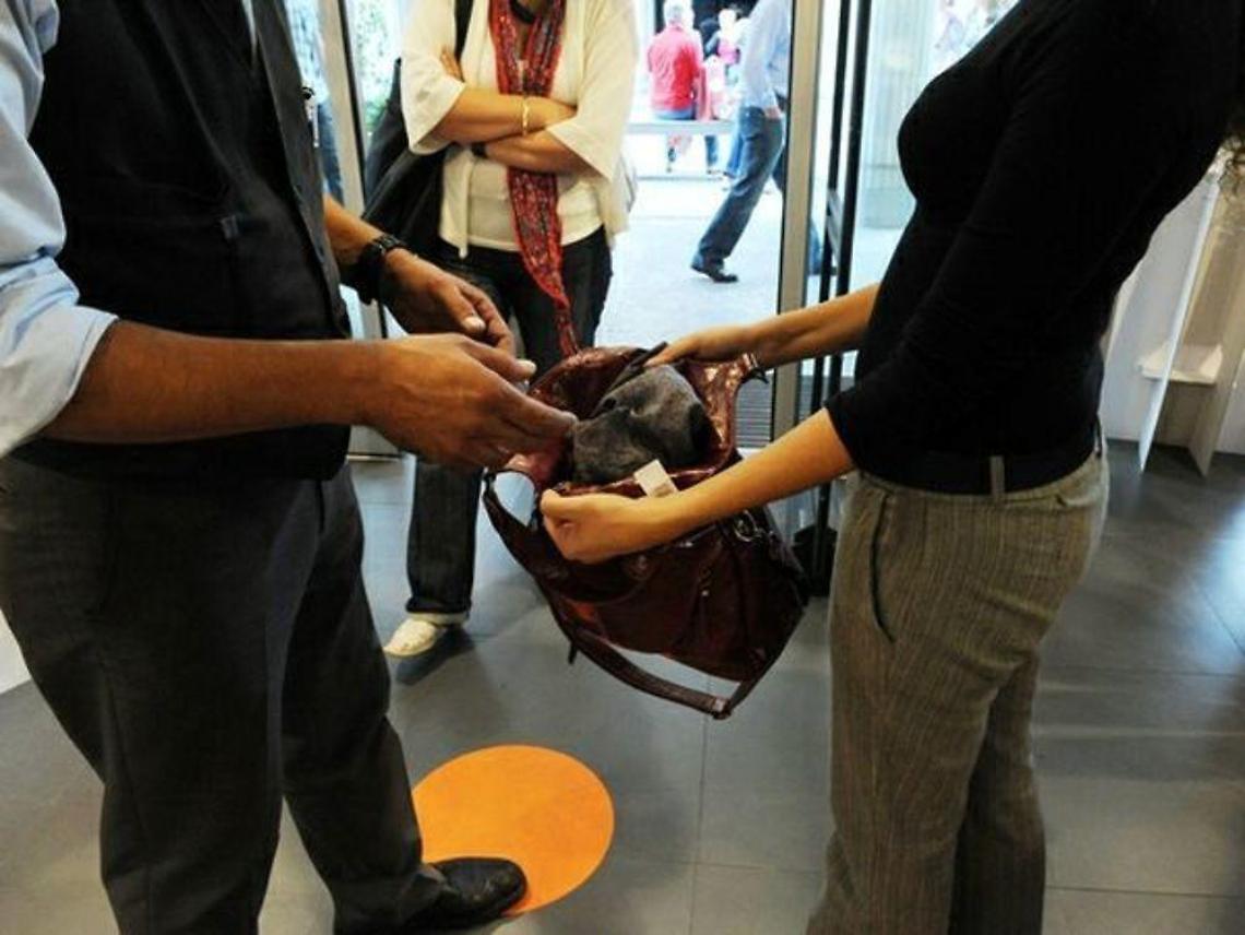Ruba cosmetici per 90 euro in una farmacia, denunciata una 27enne