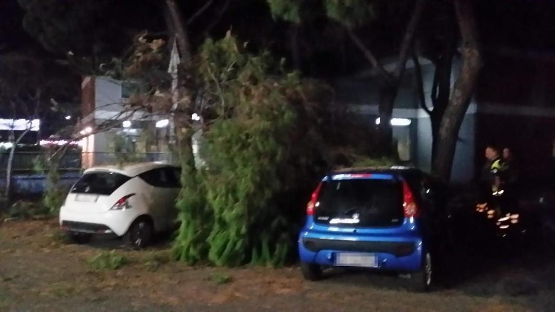 Pomezia, paura nella notte: ramo di pino cade su un'auto