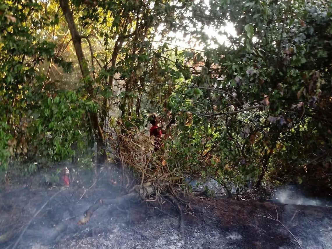 Pomezia, fiamme alla Macchiozza: bruciano sterpaglie e il boschetto