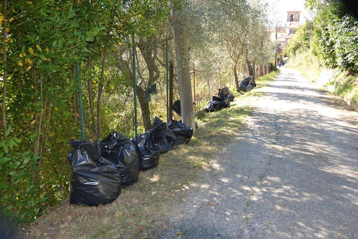 Rifiuti, Anzio dice addio ai sacchi neri: lo stop dal primo ottobre