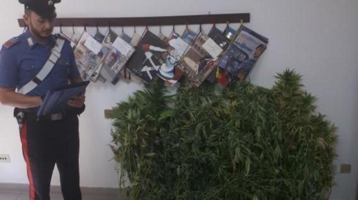 Trovati con la droga, tre giovani arrestati