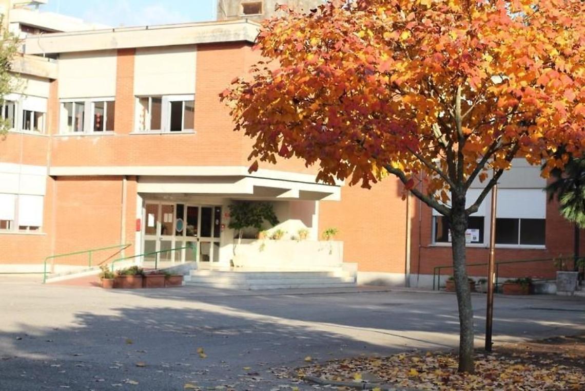 Ancora topi a scuola alla Goldoni: lezione spostata per una classe