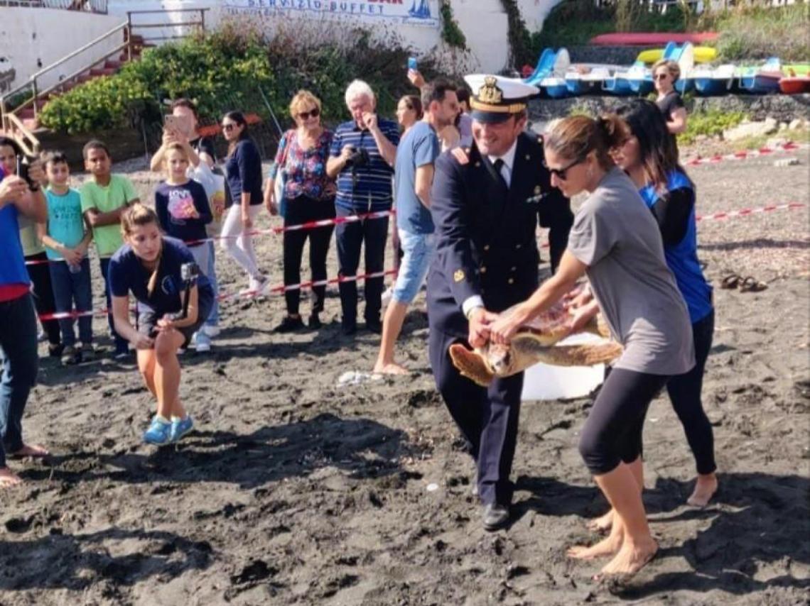 Ventotene, la tartaruga torna in mare dopo sei mesi di cure