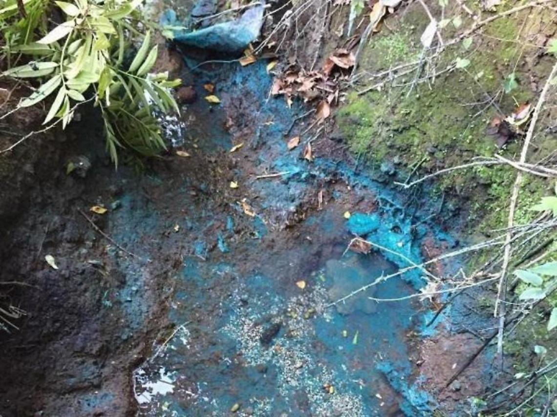 Pomezia, scarichi nel Rio Torto: il caso arriva in Regione