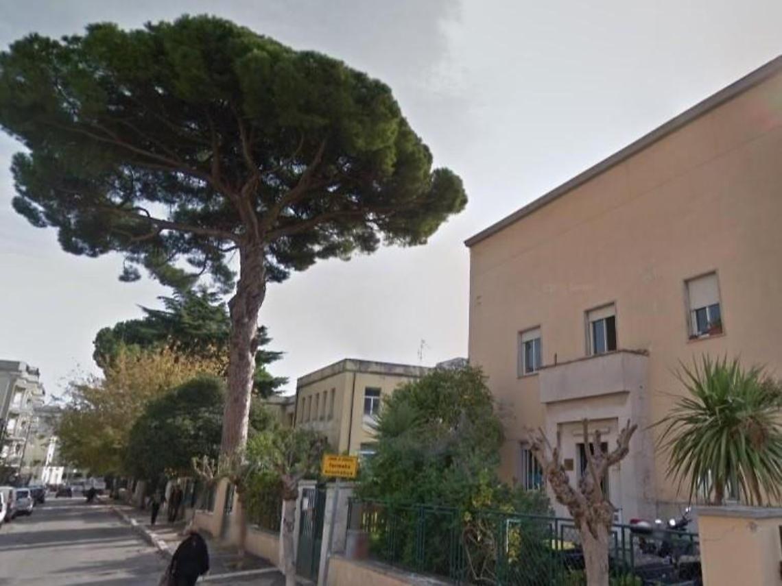 Terracina, addio a un altro pino: sarà abbattuto l'albero dell'asilo "Isabella"