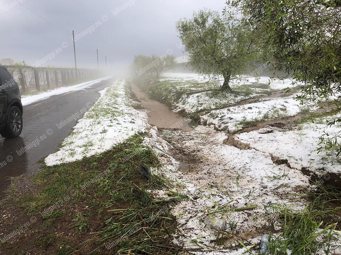 Maltempo, dalla Regione altri 800 mila euro per le imprese agricole