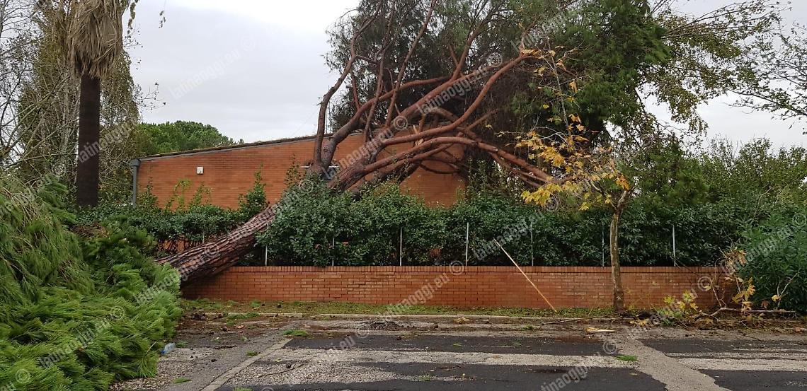 Maltempo e danni, il Comune chiede lo stato di calamit&agrave; naturale