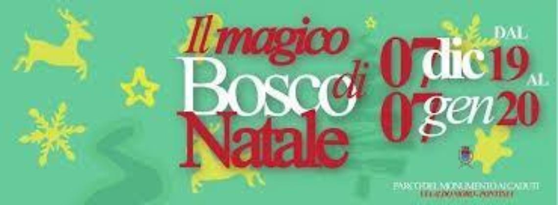 Il 7 dicembre a Pontinia arriva il magico bosco di Natale