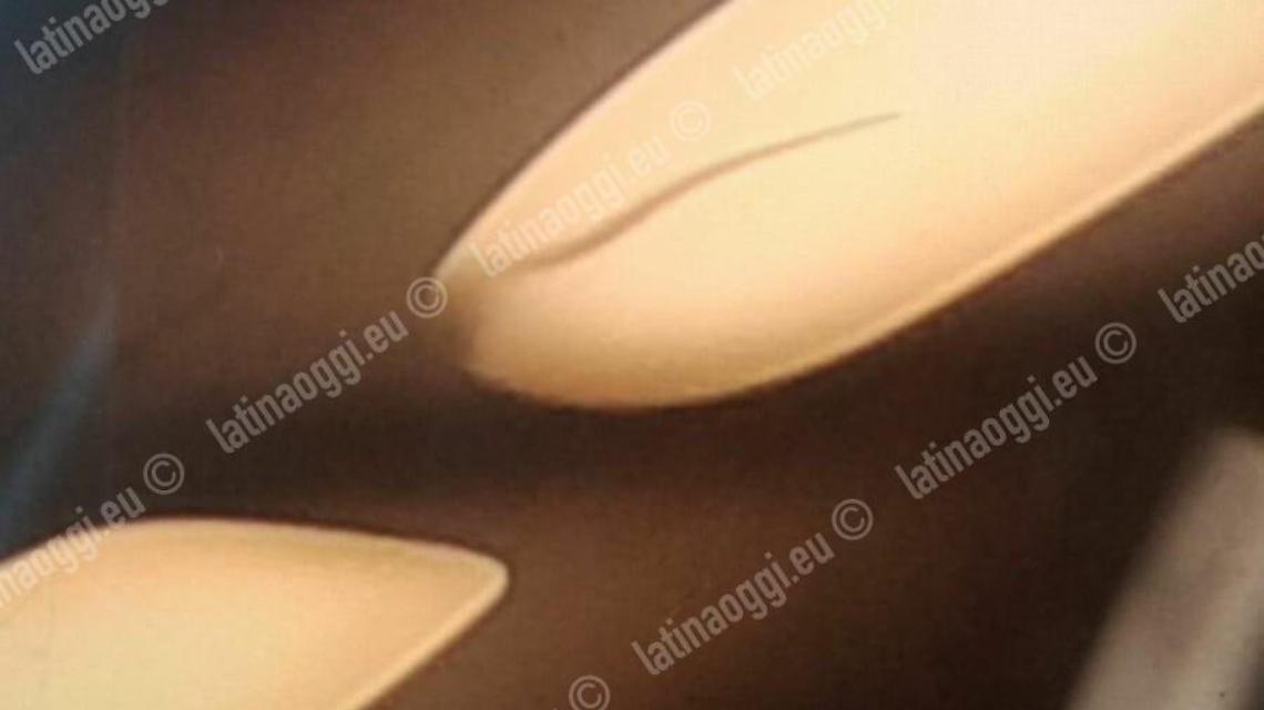 Caos sul treno, un topo vaga sopra le teste dei viaggiatori