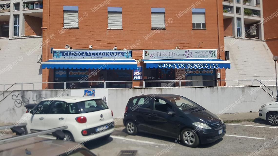 Rapina dal veterinario, bandito armato porta via soldi e un tablet
